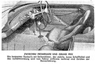 Bild: Ferrari 212 Export - Interieur
