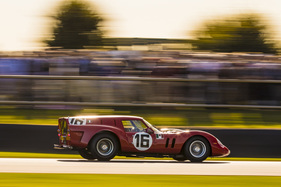 Ferrari 250 GT SWB "Breadvan" (1961) - Niklas Halusa hatte die Kinrara Trophy am Freitag Abend im Griff - Goodwood Revival 2018