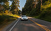 Ferrari 250 GTO "Bianco Speciale" (1962) bei Mecum Auctions – Exterieur (© Mecum Auctions, 2025)