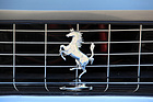 Bild: Ferrari 330 GT (1967) - das Pferdchen auf dem Kühlergrill