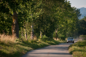 Ferrari 330 GT (1967) - wurde von manchem auch als Alltagsfahrzeug eingesetzt