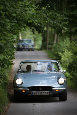 Bild: Ferrari 330 GTC (1965) auf einem hübschen Waldabschnitt der Ennstal-Classic 2013