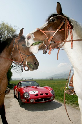Ferrari 330 GTO (1963) - da freuen sich sogar die Pferde