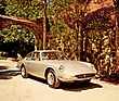 Ferrari 365 GT 2+2 (1968) – Farbfoto aus "Sports Car Graphic"