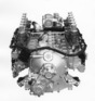 Ferrari BB (1971) - der Zwölfzylinder-Ferrari-Motor