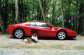 Fahren wie Alain Delon im Ferrari Testarossa