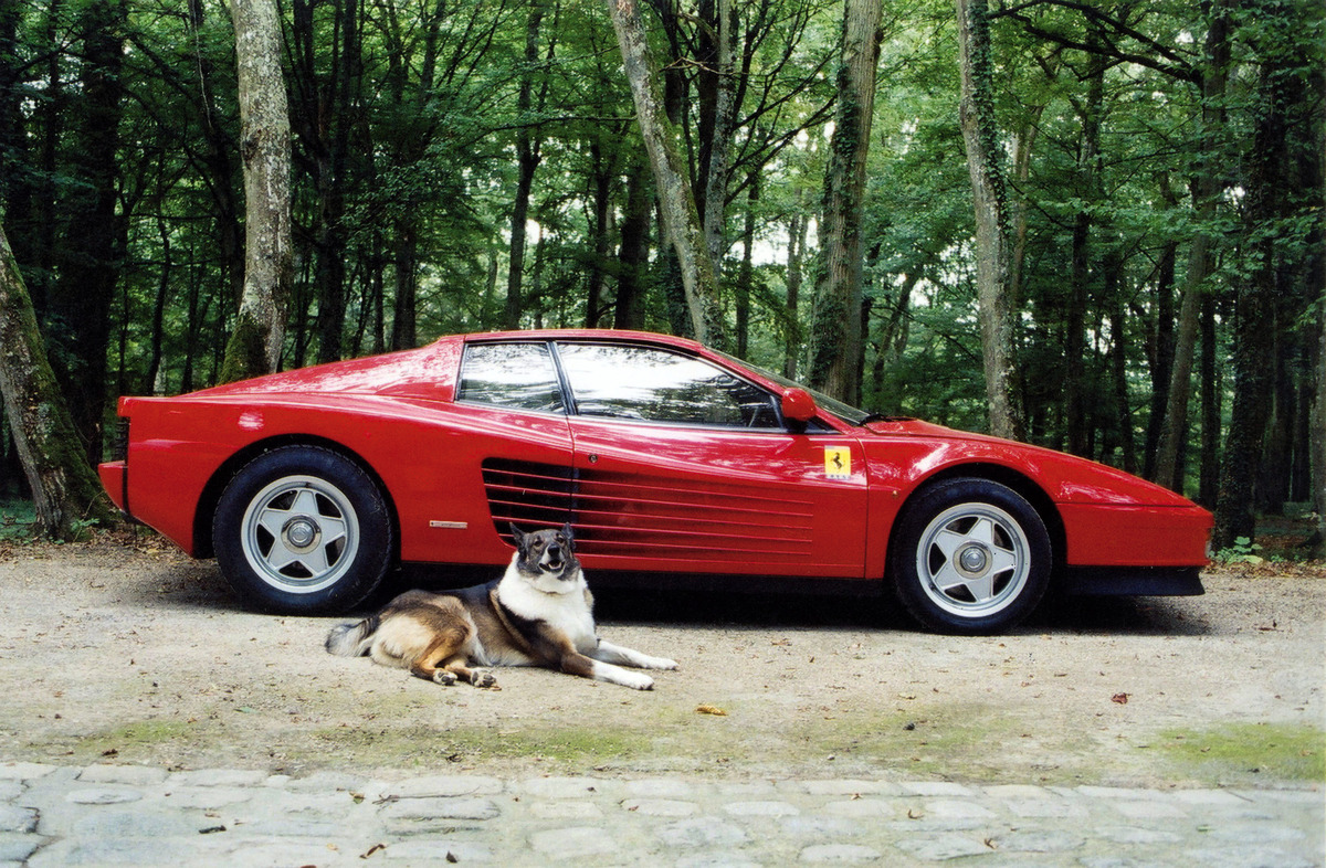 Ferrari Testarossa (1987) - Alain Delons Fahrzeug wird am 8. Februar 2013 von Artcurial in Paris versteigert, der Hund wird aber nicht mitverkauft