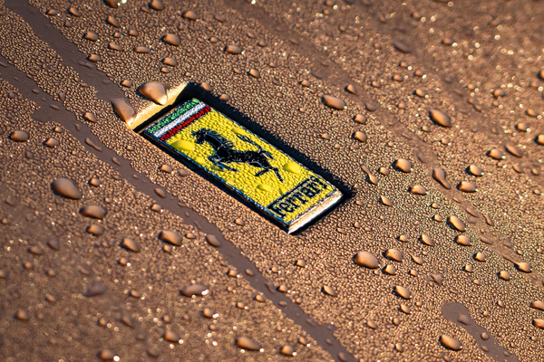 Ferrari-Zeichen im Morgentau - 31. Goodwood Festival of Speed 2024