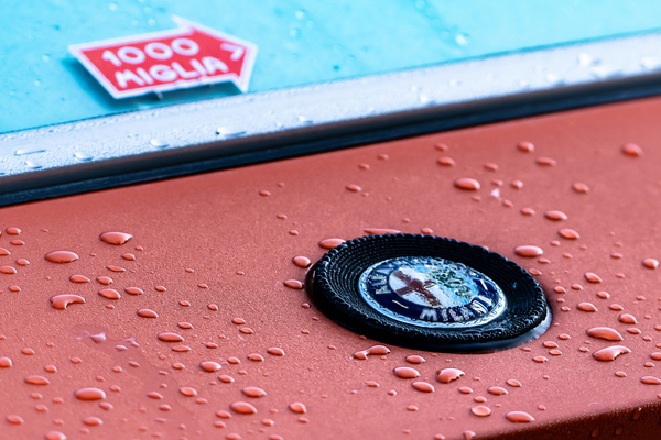 Feuchtes Alfa-Romeo-Zeichen - 31. Goodwood Festival of Speed 2024