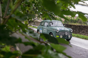 Fiat 1100/103 Berlina (1955) - an der Mille Miglia 2016