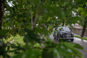 Fiat 1100/103 TV Berlina (1955) - an der Mille Miglia 2016