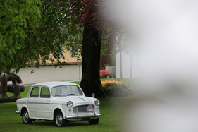 Fiat 1100 Export (1961) - am Concorso d'Eleganza Italiauto in St. Urban am 3. Mai 2015