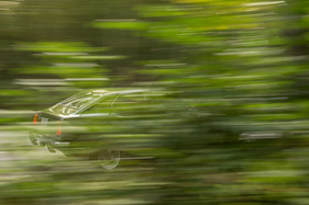 Fiat 128 Coupé 1300 SL (1973) - selbst wenn teilweise verdeckt sofort erkennbar