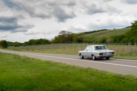Fiat 130 (1973) - Den Weinreben entlang