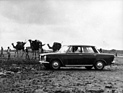 Fiat 1300 (1961) - Testfahren in Afrika