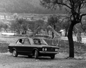 Fiat 132 (1973) - Normal-Ausführung mit Giraffen