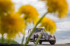 Fiat 1500 Berlina (1936) - Löwenzahn und Berlina