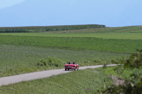 Fiat 1500 S Osca_Cabriolet (1960) - an der OCC Jungfrau-Rallye 2016