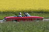 Fiat 1600 S Spider (1964) (© Balz Schreier, 2012) Fiat 1600 S Spider (1964) (© Balz Schreier, 2012)