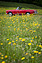 Fiat 1600 S Spider (1964) (© Balz Schreier, 2012) Fiat 1600 S Spider (1964) (© Balz Schreier, 2012)
