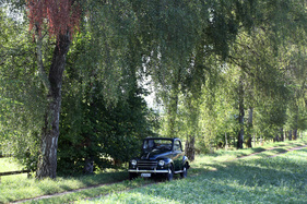 Fiat 500 C Topolino (1949) - die Maus im Grünen Fiat 500 C Topolino (1949) - die Maus im Grünen