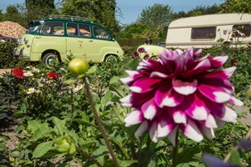 Fiat 600 Multipla (1964) - an den Classic Days Schloss Dyck 2019