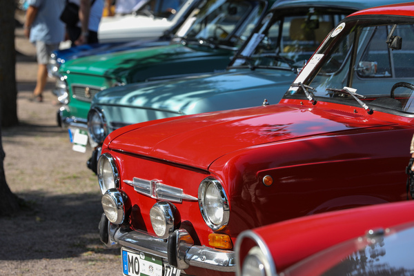 Fiat-850-Limousinen in Reih und Glied - 20. ASC Classic-Gala Schwetzingen 2024