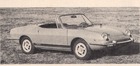 Fiat 850 Sport Convertible Racer (1969)