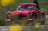 Fiat 8V Rappi (1954) - an der Passione Caracciola 2018 (© Daniel Reinhard, 2018) Fiat 8V Rappi (1954) - an der Passione Caracciola 2018 (© Daniel Reinhard, 2018)