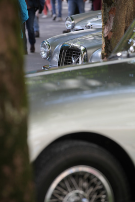 Fiat 8V Vignale Coupé (1953) - Concours d'Excellence International 2017