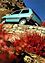 Fiat Panda (1992) - 4x4-Variante (© Fiat Group / Werk, 1992) Fiat Panda (1992) - 4x4-Variante (© Fiat Group / Werk, 1992)