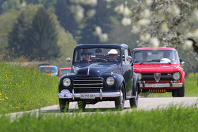 Fiat Topolino C (1953) - am Treffen italienischer Oldtimerautos Italiauto 2013