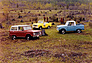 Ford Bronco (1969) - Gleoch drei Broncos als Dienstfahrzeug bei der Jagd (© Ford Archiv / Werk, 1969) Ford Bronco (1969) - Gleoch drei Broncos als Dienstfahrzeug bei der Jagd (© Ford Archiv / Werk, 1969)