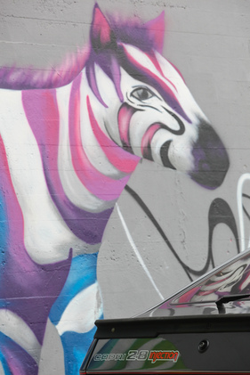 Ford Capri 2.8 Injection (1982) - da hat auch das Zebra seine Freude