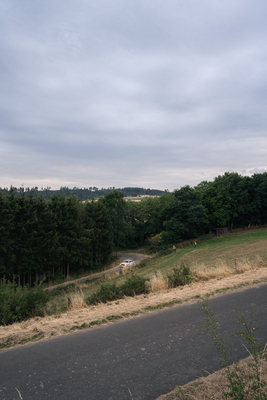 Ford Escort RS 2000 (1978) – Eifel-Rallye-Festival 2022