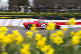 Ford GT40 (1966) - in der Alan Mann Trophy