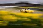 Ford GT40 (1967) - Scuderia del Viadotto - Thomas Studer / Conrad Ulrich - Alan Mann Trophy