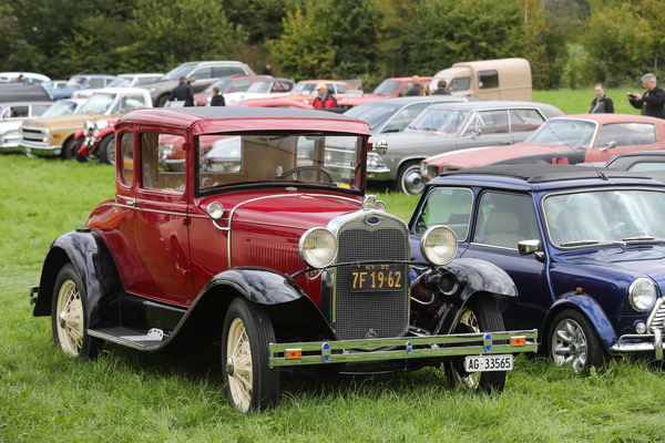 Ford Model A (1930) - in der Wiese - FNA Jahrestreffen 2025