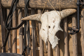 Ford Model T (1915) - Classic-Gala Schwetzingen 2019