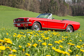 Ford Mustang (1964) - Frühlingserwachen