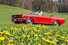 Ford Mustang (1964) - Frühlingserwachen