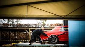 Ford Mustang (1965) - Pierpoint Cup - Goodwood Members' Meeting 2017