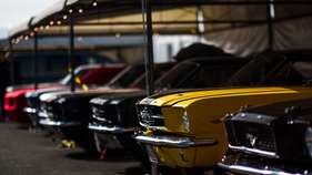 Ford Mustang (1965) - Pierpoint Cup - Goodwood Members' Meeting 2017