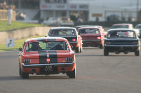 Ford Mustang (1965) – "Pierpoint Cup" für V8-Limousinen bis 1966
