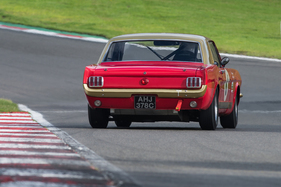 Ford Mustang (1965) - Pre66 Touring Cars - Brands Hatch Masters Historic Festival 2020