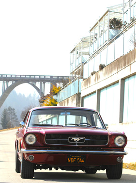 Ford Mustang (1965) - über drei Millionen wurden gebaut