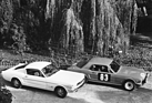 Bild: Ford Mustang (1967) - Fastback neben einer Rennversion