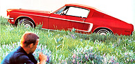 Ford Mustang (1968) - Fastback-Modell des Jahres 1968 aus einem Verkaufsprospekt