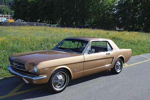 Bild: Ford Mustang 260 Coupé (1965) - angeboten an der Versteigerung der Oldtimer Galerie Toffen anlässlich der Dolder Classics vom 8. Juni 2013