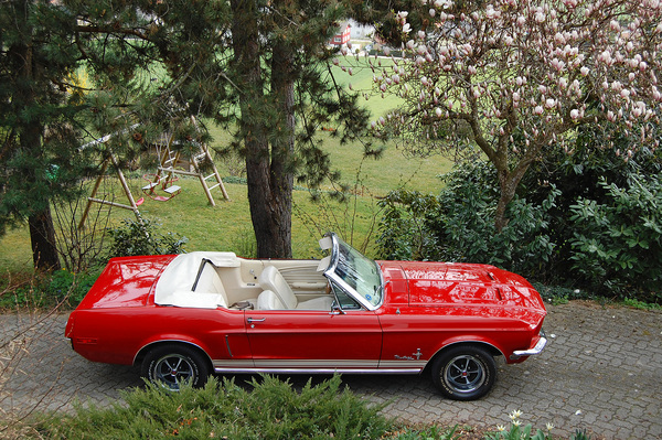 Image: Ford Mustang 289 Convertible (1968) - offered at the auction of the Oldtimer Gallery in Toffen on November 29, 2014